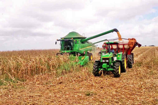 Guárico estima romper récord en producción agrícola