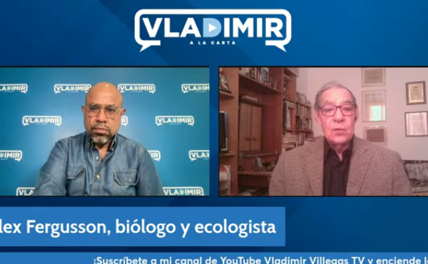 "Siete de cada 10 minas de oro son ilegales y en ellas impera la mano de obra esclava"