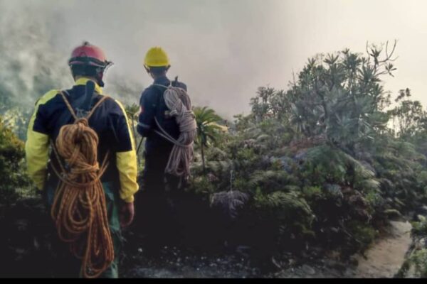 Desaparecieron dos adultos y tres menores en el parque Warairarepano