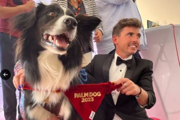 Messi, el perro actor que brilló en los premios Oscars