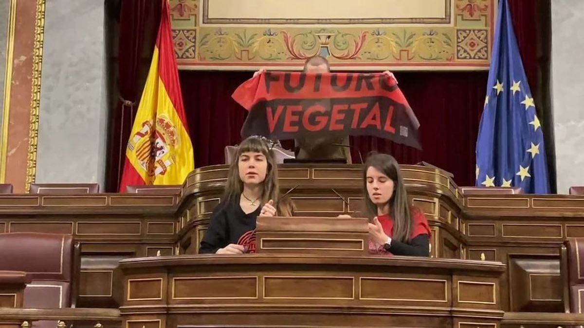 EL PAÍS