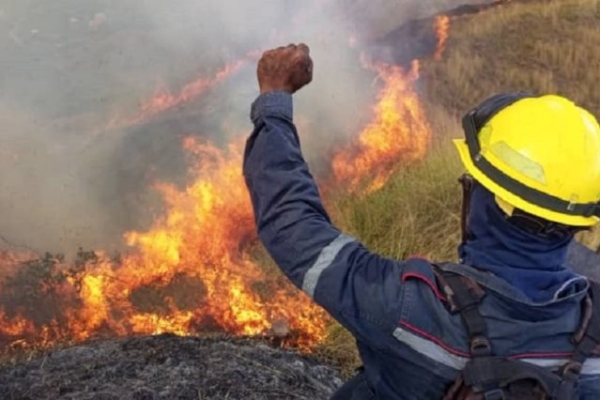 Más de 16.000 hectáreas han sido afectadas en Venezuela por los incendios forestales en 5 meses