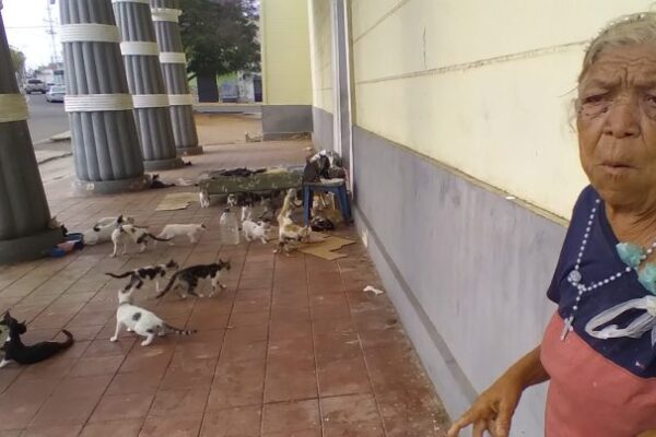 Ana Margarita y sus 80 gatos sobreviven en el templo del Faraón de Maracaibo 