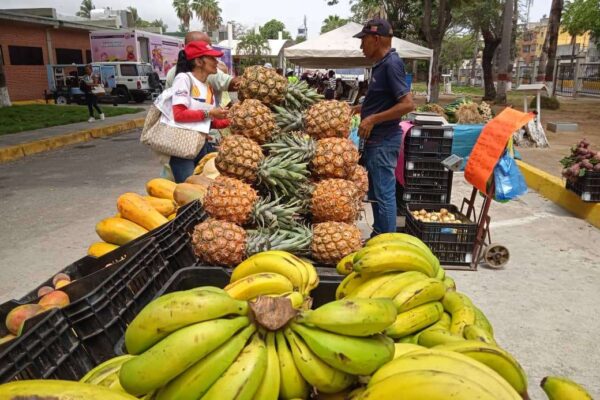 Productores Carayaca arriman 30 toneladas de sus cosechas a Caracas