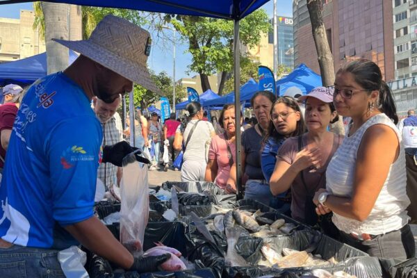 Realizarán feria del pescado en la avenida Bolívar de Caracas Realizarán feria del pescado en la avenida Bolívar de Caracas
