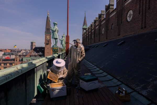 Copenhague: la capital del cielo verde | EL PAÍS Semanal EL PAÍS