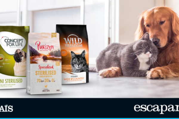 Diez piensos para gatos y perros esterilizados con descuento en Zooplus | Estilo de vida | Escaparate