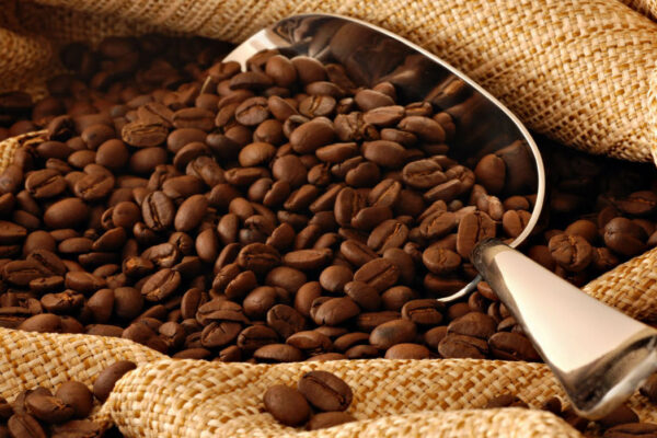 Esperan que la producción de café en Venezuela este año supere el millón de quintales