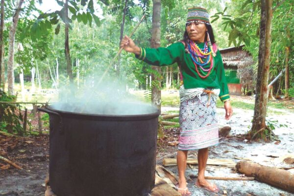 La ayahuasca no es para tomarla a la ligera La ayahuasca no es para tomarla a la ligera