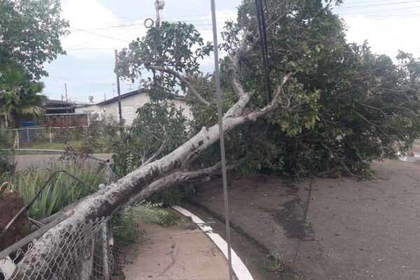 Zulia: Inundaciones y viviendas afectadas por lluvias en municipio Baralt