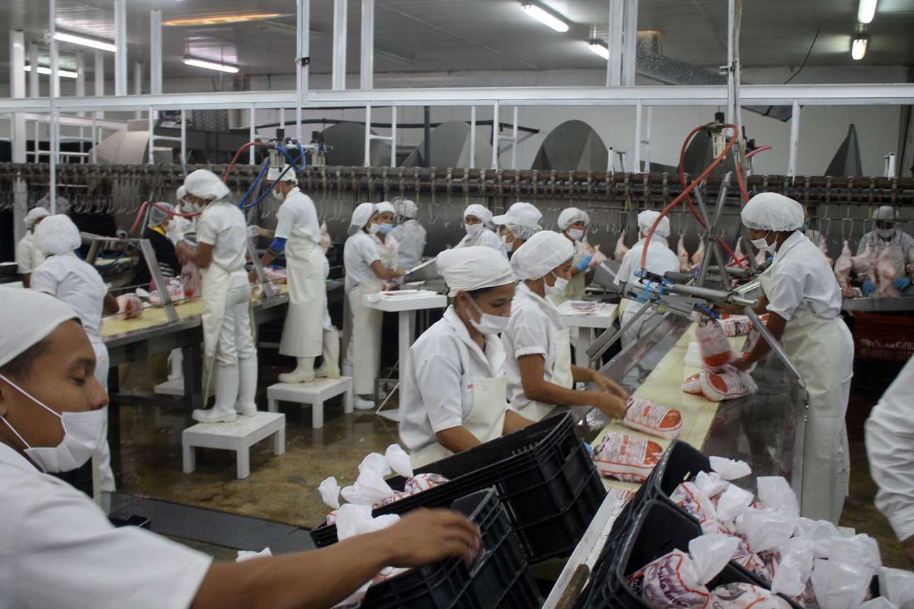 Avícola Guacara busca abrirse al mercado internacional