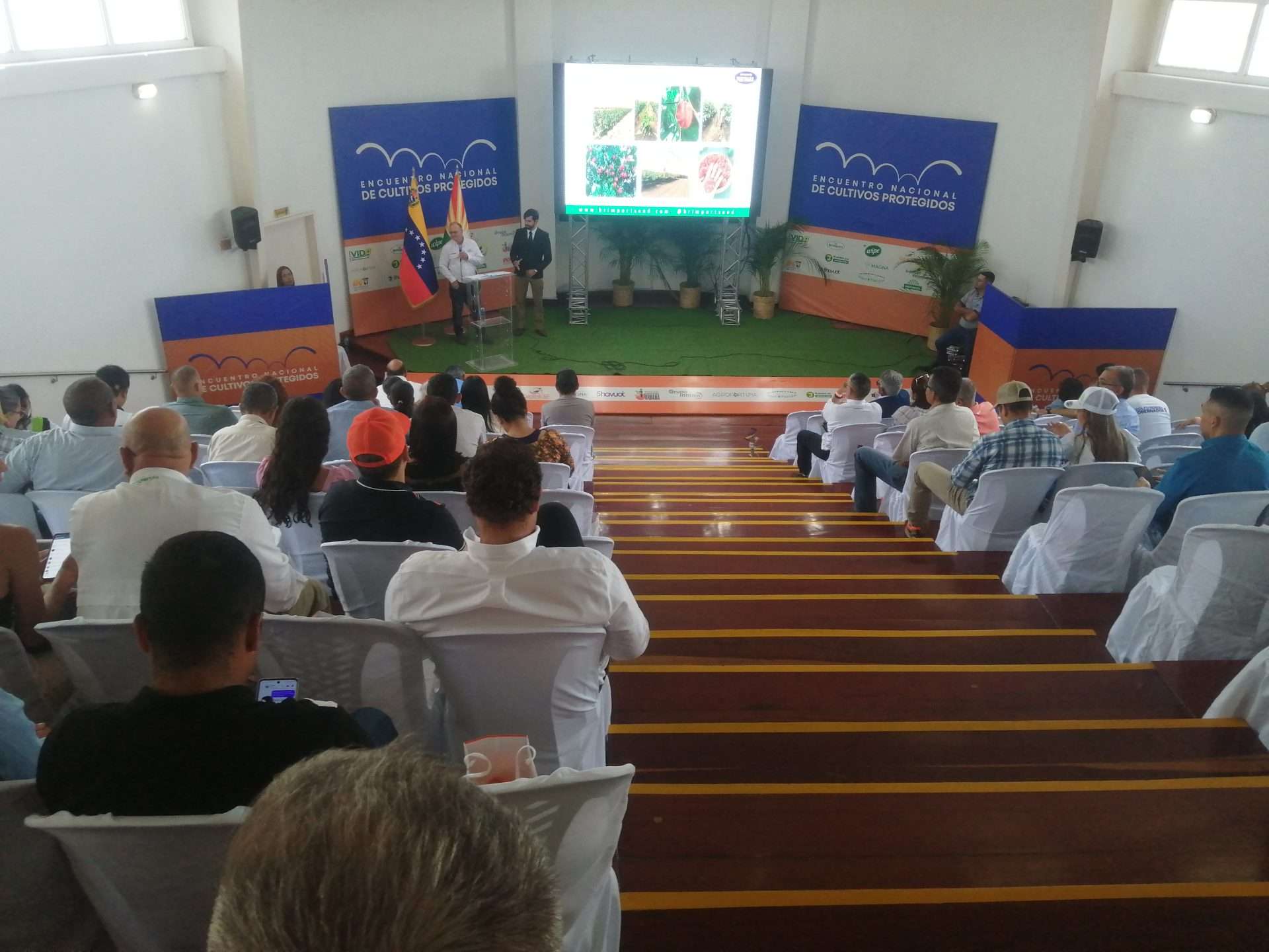 Buscan cohesionar cultivos protegidos para fortalecer seguridad alimentaria