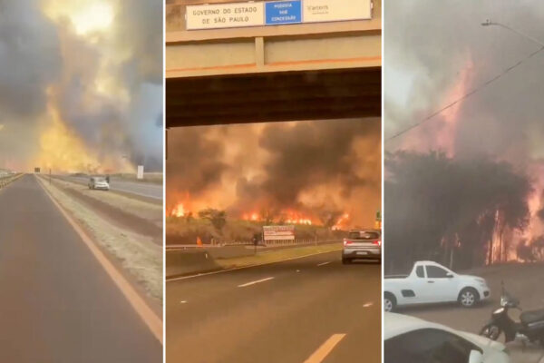 30 ciudades de Brasil están en alerta máxima por catastróficos incendios