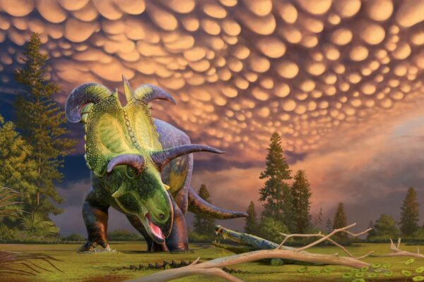 Descubierto ‘Loki’, un nuevo dinosaurio con cuernos gigantes de hace 78 millones de años | Ciencia EL PAÍS