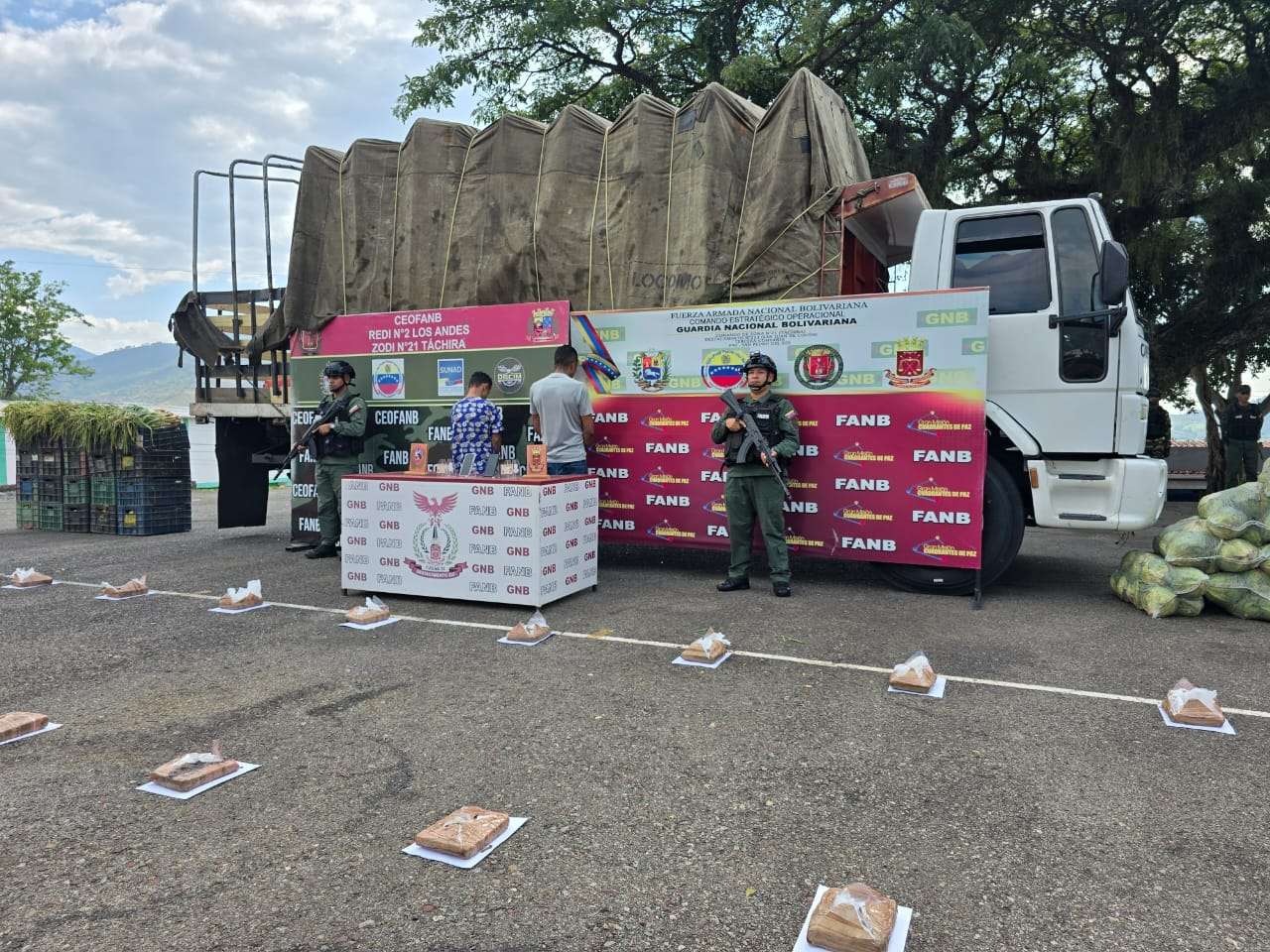 FANB ha realizado 169 procedimientos de droga en Táchira 
