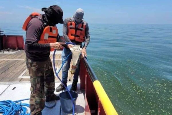 Inició otra jornada de análisis en las aguas del Lago de Maracaibo