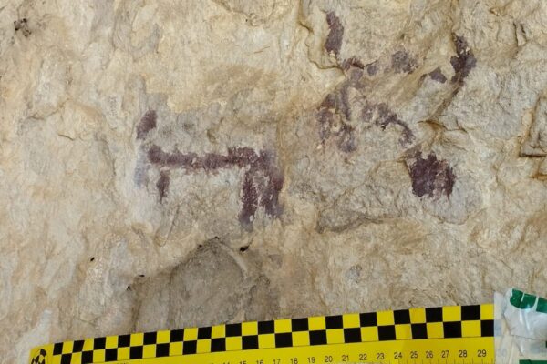 Investigado un hombre por echar agua a unas pinturas rupestres de 6.000 años: quería sacarles mejores fotos para Facebook | Cultura EL PAÍS