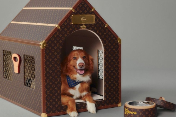 Perritos se roban el show en la nueva campaña de Louis Vuitton