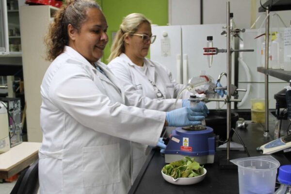 Plantean nuevas sustancias antimicrobianas contra infecciones
