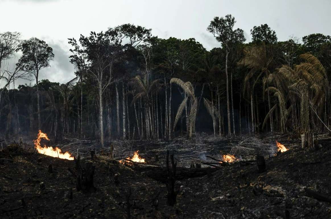 Registran varias zonas de Suramérica bajo riesgo de incendios