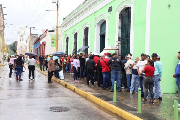 Veedores internacionales llevarán experiencia de la consulta a sus países