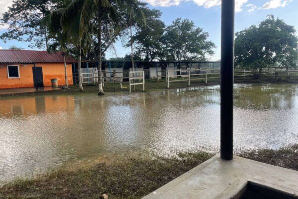 Viviendas y vías anegadas por desborde de ríos en Anzoátegui