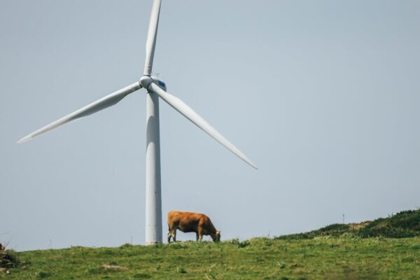 Licencia social para impulsar la transición ecológica | Tendencias | Proyecto EL PAÍS
