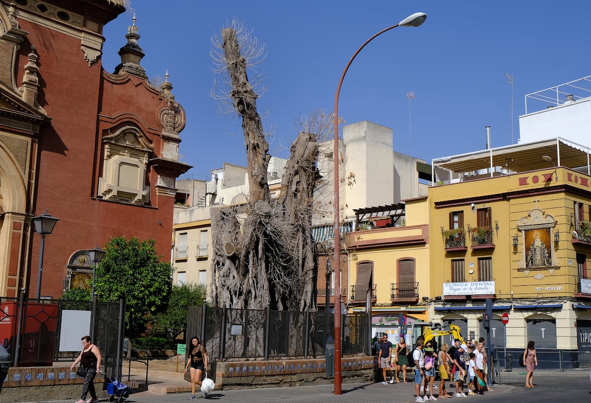 EL PAÍS