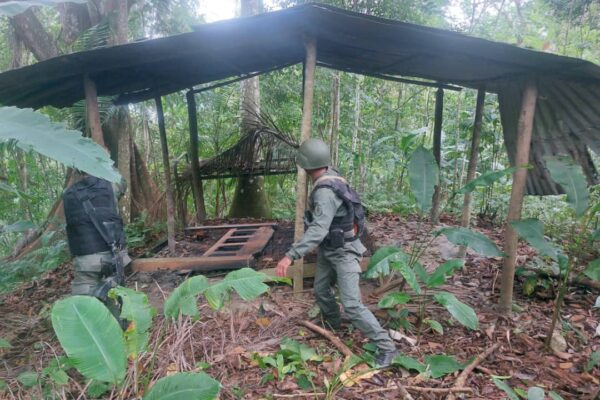 Tres hermanos integran célula criminal del Tren del Llano