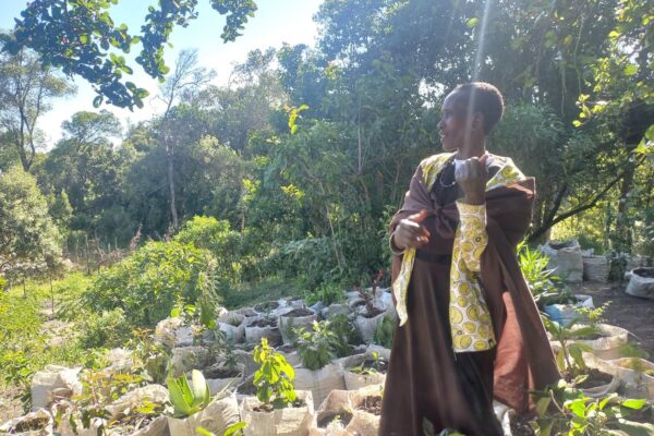 Kenia: Cómo los ogiek conservamos la sabiduría acerca de las plantas medicinales para las generaciones futuras | Planeta Futuro EL PAÍS
