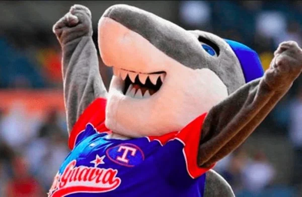 LVBP 2023-2024: Tiburones se recuperó en Valencia ante el Magallanes Tiburones-de-La-Guaira-imagen-referencial