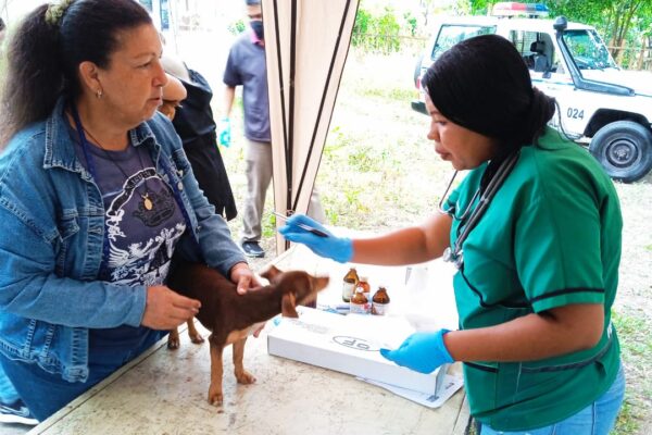 Misión Nevado realiza jornada de atención integral a los animalitos