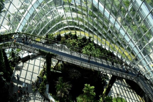 Nelson Rafael Bustamante Abidar - ¡Entérate! Arquitectura biofílica; Qué es ¡Características, ventajas y tendencias! - FOTO