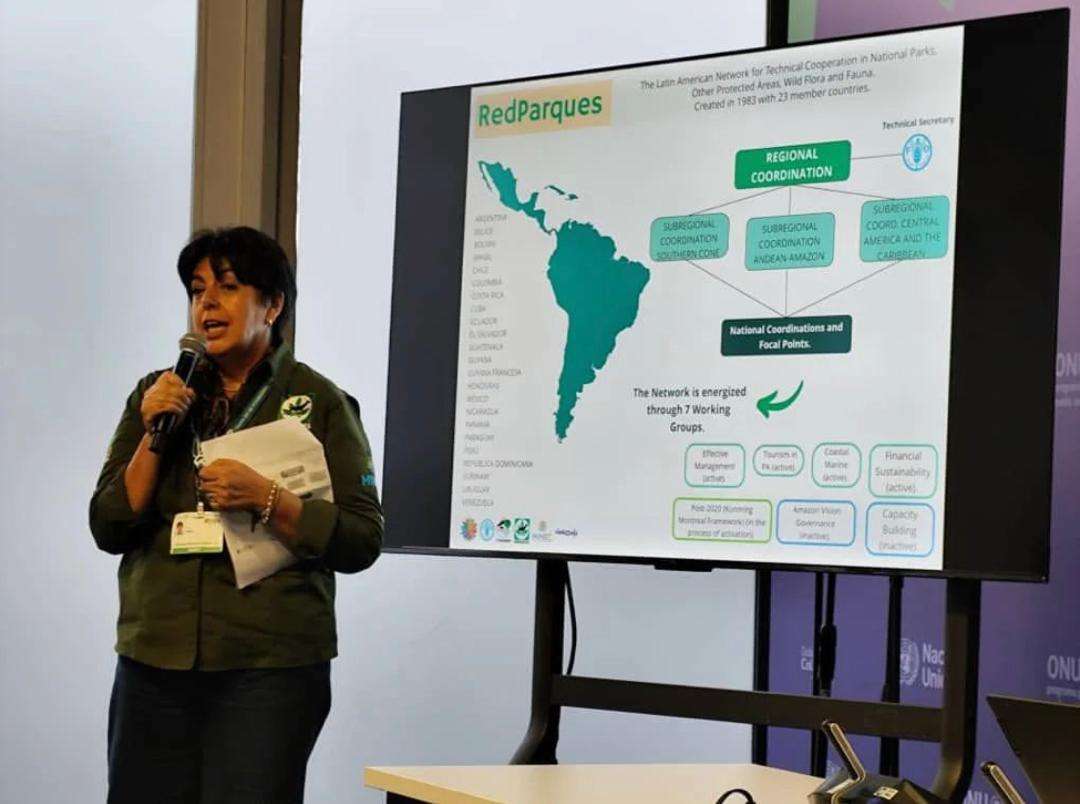 Países hablan sobre cuidados del ambiente