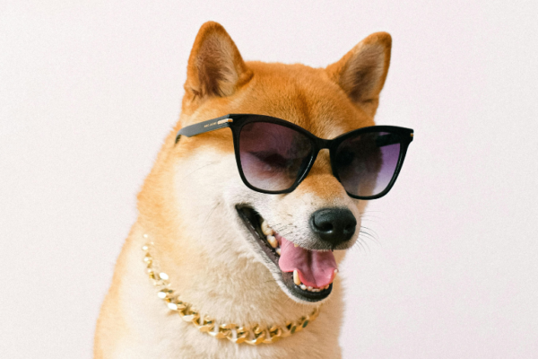 Una anciana deja herencia millonaria a sus mascotas tras el abandono de sus hijos