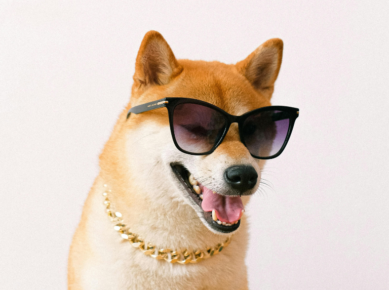 Una anciana deja herencia millonaria a sus mascotas tras el abandono de sus hijos