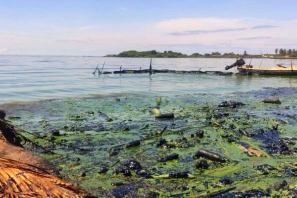 Estudian sobrante de nutrientes en lagunas