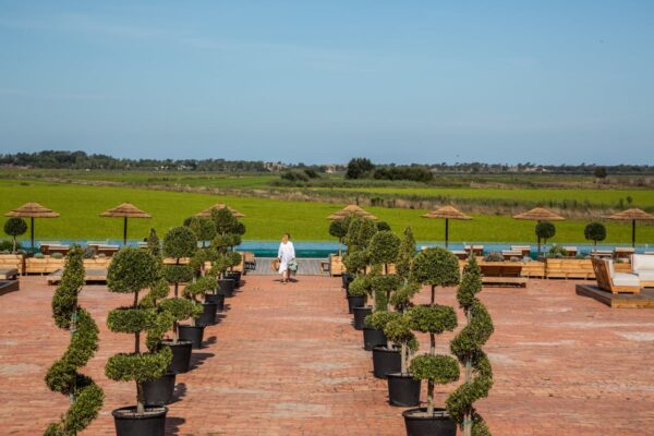 La Laguna de Melides y otros secretos portugueses que la heredera de Cinzano quiere proteger | El Viajero EL PAÍS