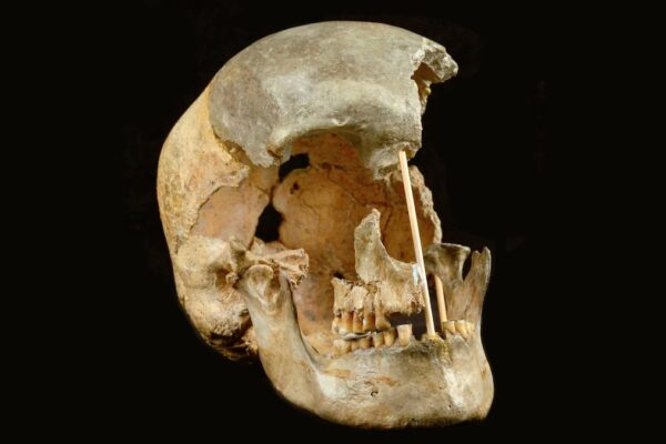 Nuestros ancestros tuvieron sexo e hijos con los neandertales hace 47.000 años, mucho después de lo que se pensaba | Ciencia EL PAÍS