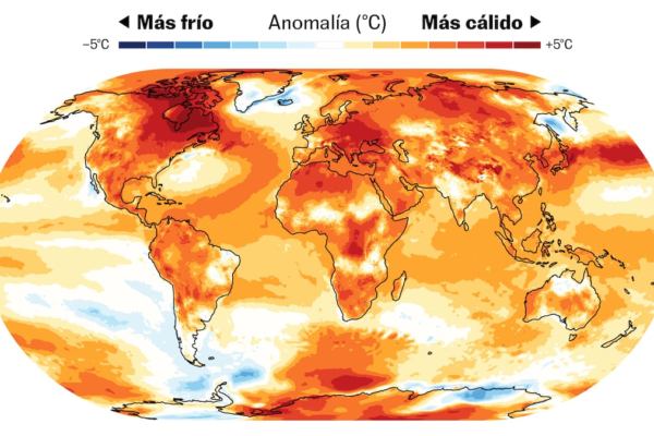 En 2024 el calentamiento del planeta alcanzó por primera vez en un año el límite de 1,5 grados | Clima y Medio Ambiente