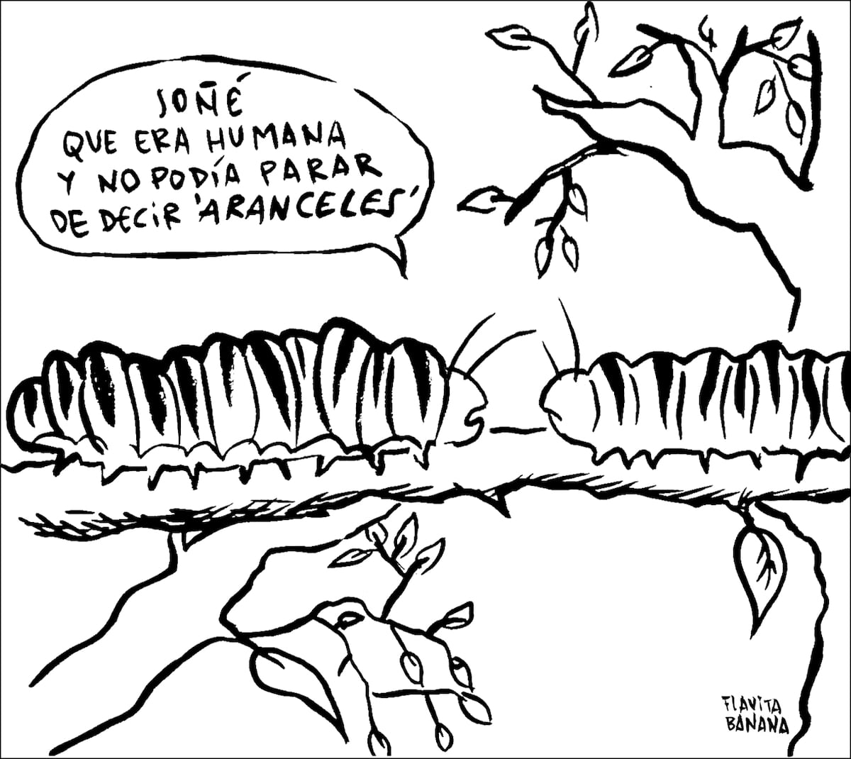 EL PAÍS
