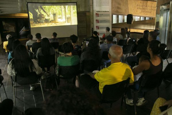 Kueka: lucha ancestral en un documental