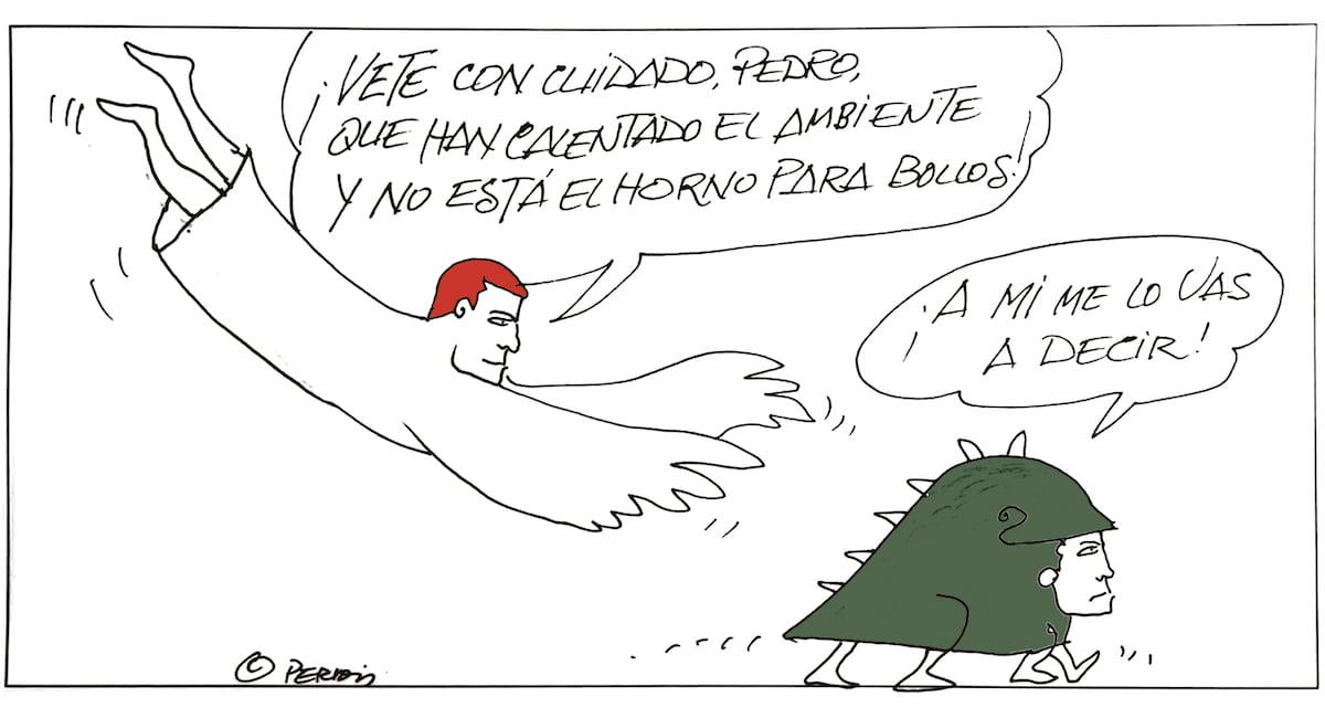 EL PAÍS