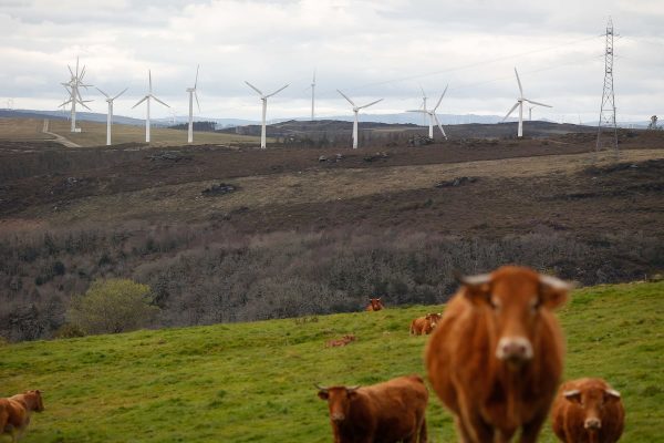 El Gobierno ofrece un salvavidas a los parques eólicos y solares atrapados por los recursos judiciales | Clima y Medio Ambiente EL PAÍS