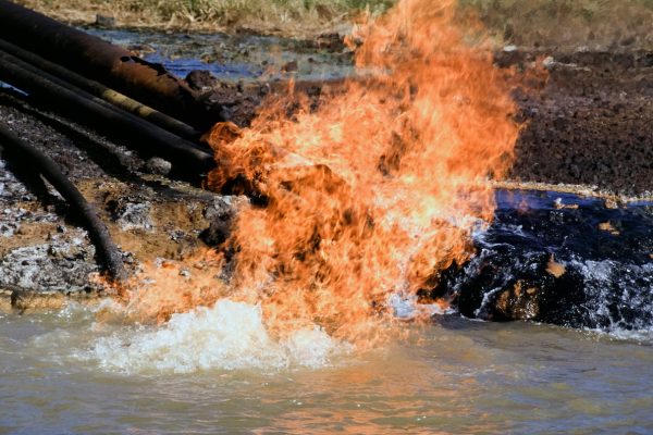 Fuego en el corazón de la Amazonía ecuatoriana: niñas y jóvenes en lucha por la justicia climática | Planeta Futuro EL PAÍS