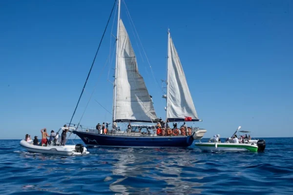 Gobierno de Netanyahu amenaza interceptar flotilla humanitaria que va a Gaza