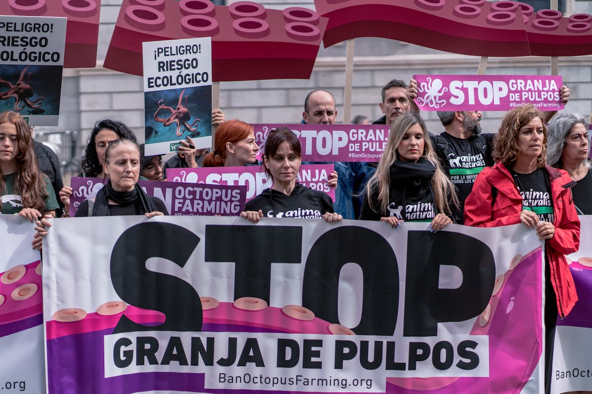 EL PAÍS