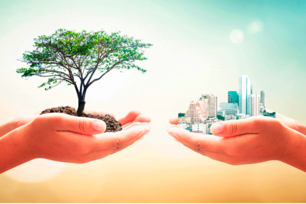 Hjalmar Jesús Gibelli Gómez | Qué Importancia Tiene la Ecología en Nuestro País (España)
