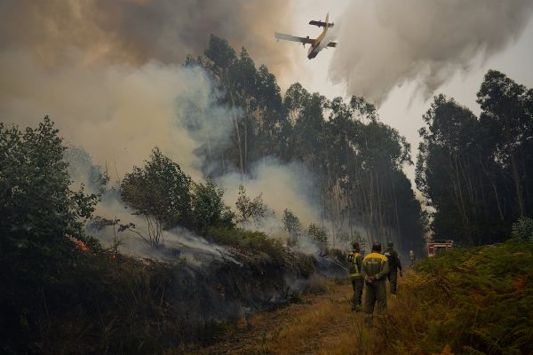 Los incendios forestales encienden las alarmas en países del norte de Europa, mientras dan un respiro a España | Clima y Medio Ambiente EL PAÍS