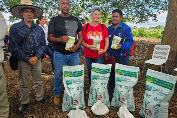 Plan Conuco Maíz beneficia a 265 productores en Monagas